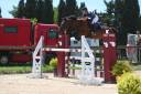 Cheval Zangersheide 7 ans par Quick Star