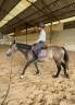 Ponette 4 ans a exploiter 