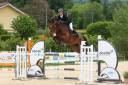 Hongre 7 ans CSO 