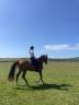 Cheval espagnol