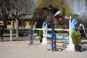 Formentera de Cordrac jument de 10 ans à vendre