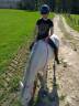 Poney de sport/famille 