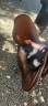 Vend selle forestier courcom