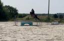 Mâle de 3 ans X Movie Star Tilia
