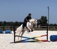 Super hongre de 4ans 