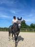 Cheval dressage cso