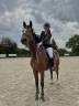 Top jument pour concours amateurs