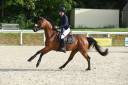 5 ans hongre WBP