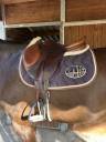 Selle cwd de 2013 17 pouces
