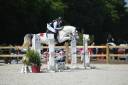 CHEVAL HYPER POLYVALANT 