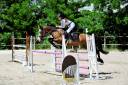 A louer ponette D pour poney Élite/ As 2