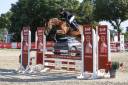 Jument de sport 5 ans 