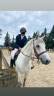 Poney à louer 