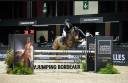 Jument de cso 13 ans a vendre 