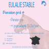 Pension chevaux – Brassac (82190) – Dès 200€/mois