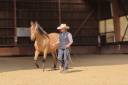 OLIVIO ANGOSTURA, superbe hongre PRE isabelle de 4 ans