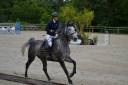 Jument grise par Tornesch 