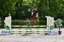 Hongre par Candy de Nantuel x Ivor d'Helby 