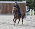 Ponette welsh pony 17 ans 