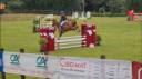 Cheval de 8ans KWPN