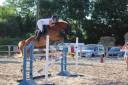 Hongre alezan cso amateur 