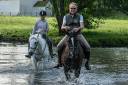 Cheval pour Demi pension Loiret 