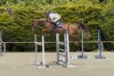 Jument facile 6 ans potentiel 1.40m/1.45m