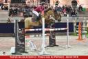 Recherche cheval pour valorisation