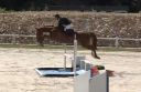 JUMENT 5 ANS Z