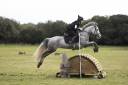 À VENDRE – PONEY DE CCE AS PONEY ÉLITE GRAND PRIX