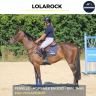 LOLAROCK - AQPS - 4 ANS