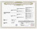 Quarter Horse entier 2023