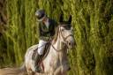 Jument chic et facile – Idéale amateur pour progresser 