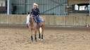Jument Quarter horse palomino
