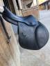 SELLE ANTARES SIGNATURE OBSTACLE 17,5" NOIRE DE 2024
