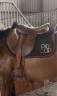 Selle GBS
