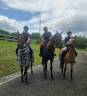 Petit cheval oc 3 ans polyvalent 