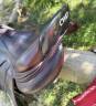 Selle CWD 2GS 18 pouces