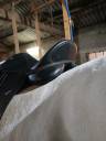 Selle Wintec 500 caire 16,5 