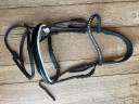 Bridon dressage 