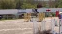 Cheval hongre 6 ans