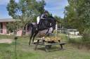 Rarissime PSA Etalon Arabe Noir Polyvalent Selle Repro