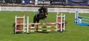 Cheval cso 