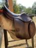 Salle CSO Childeric 17,5
