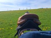 Selle signature antares