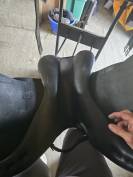 Selle Amerigo Octave Pinerolo 17,5&rdquo; Noir 2024