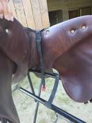 Selle antares connexion