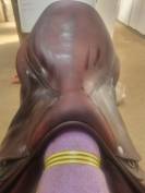 Selle antares connexion