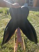 Selle Thorowgood T8 compact noir