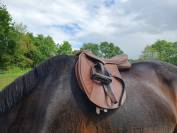 Selle wintec pro jump avec syst&egrave;me cair
